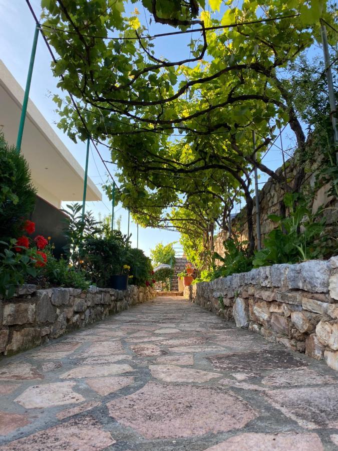 Apartment Krenar Voda كساميل المظهر الخارجي الصورة